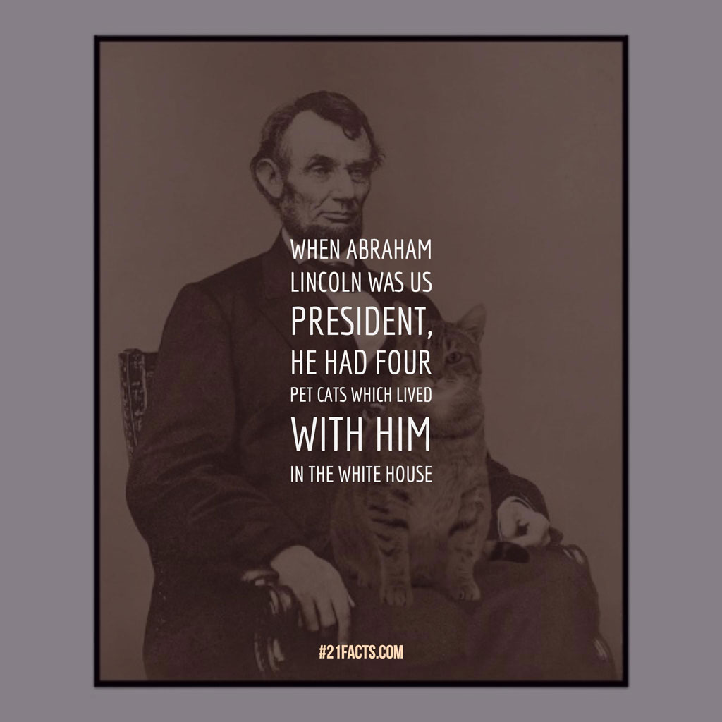 When Abraham Lincoln was US President, he had four pet cats which lived with him in the White House