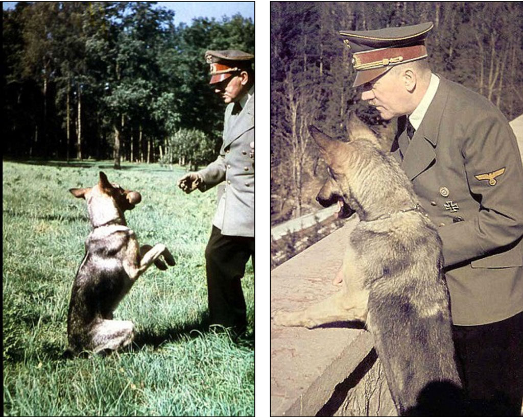 The Nazis tried to teach dogs to talk and read