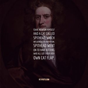 Isaac Newton himself had a cat called Spithead, which influenced his invention. Spithead went on to have kittens, who all got their very own cat flap.
