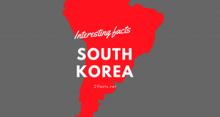 Interesting facts about south korea
