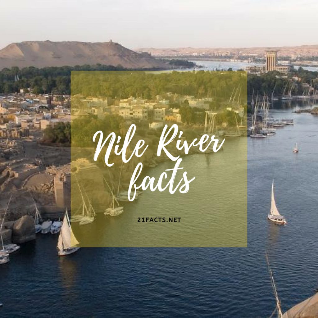 Interesting Facts About Nile River Twentyonefacts 0316