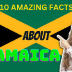 Interesting Facts About Jamaica: Rhythm Roots & Island Spirit