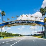 Fun Facts About Disney World: Magic Mystery & Mickey