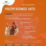 Interesting Facts About the Poultry Industry: From Farm to Table
