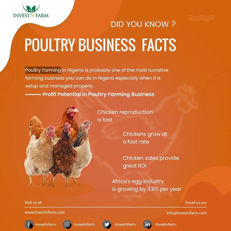 Facts About Georgia’s Poultry Industry Everyone Should Know