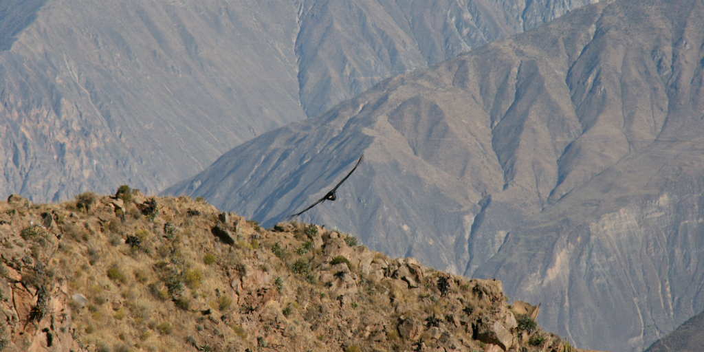 Unusual Facts About Peru You Won’t Believe Are True