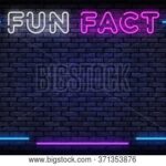 Fun Facts About Neon: The Glow Behind the Light