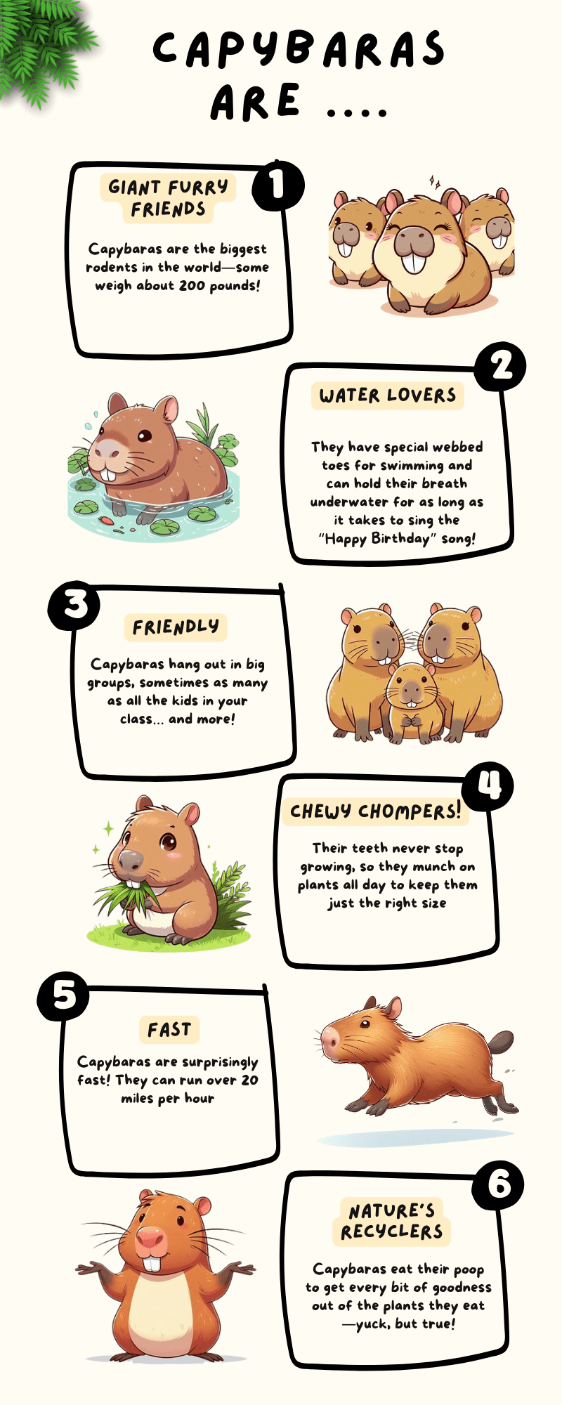 100 Facts About Capybaras: The World’s Chillest Animal