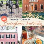 Interesting Facts About Kentucky: Horses History & Hidden Gems