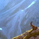 Interesting Facts About Switzerland: Alps Art & Amazing Precision