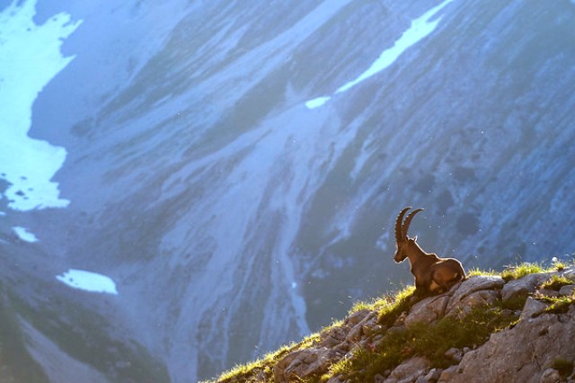 Interesting Facts About Switzerland: Alps Art & Amazing Precision