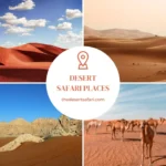 Fun Facts About Dubai: Luxury Landmarks & Desert Wonders