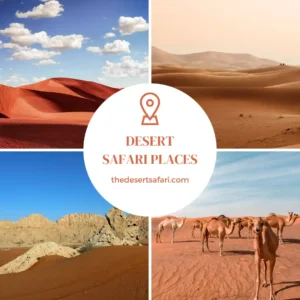 Fun Facts About Dubai: Luxury Landmarks & Desert Wonders