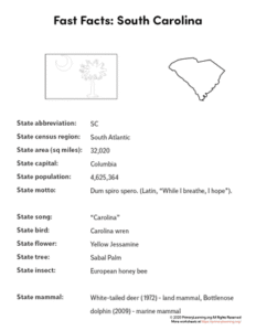 Unique Facts About South Carolina: Coast Culture & Charm