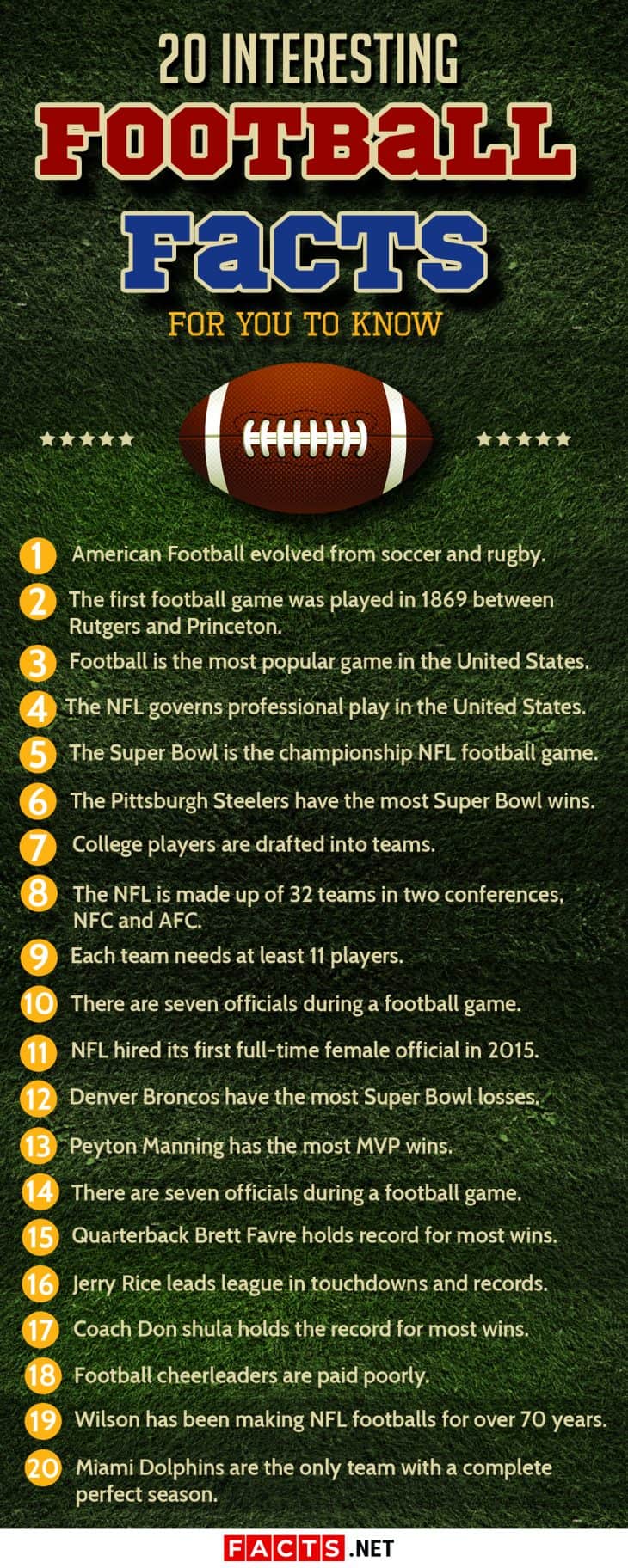 Facts About Football Games Every Fan Should Know