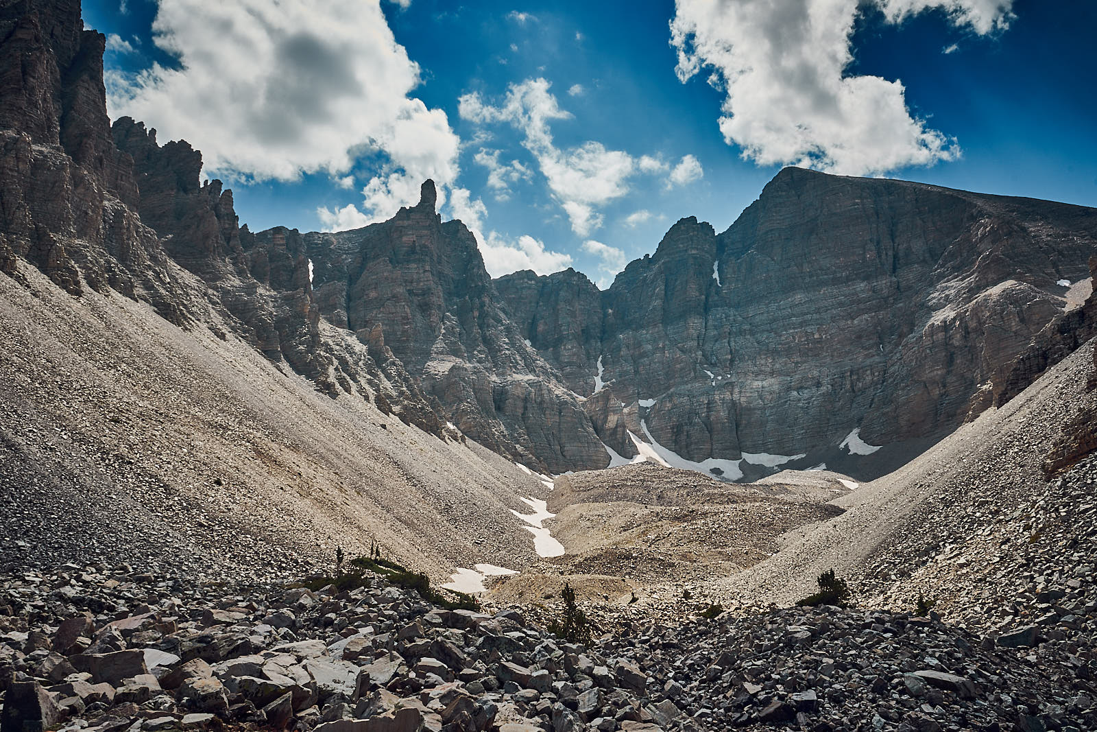 Interesting Facts About Great Basin National Park Bats