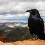 Interesting Facts About October: Spooky Seasonal & Surprising