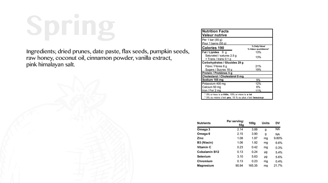 Amazing Facts About Spring Season: Nature’s Big Comeback
