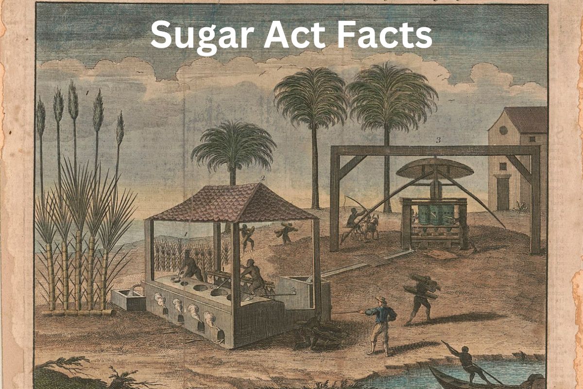 Facts About the Sugar Act: Taxes Tensions & American History