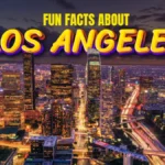 Fun Facts About Summer: Sunshine Science & Surprises