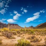 Special Facts About the Desert: Heat Habitat & Hidden Life