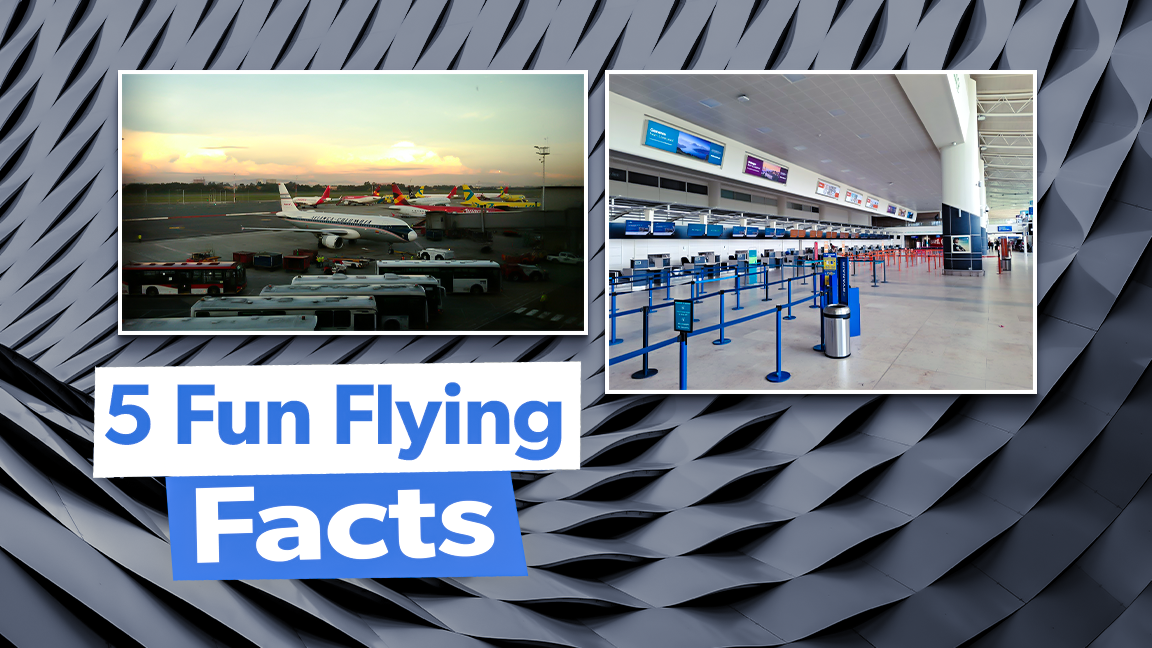 Random Facts About France: Culture Art & Unexpected Quirks