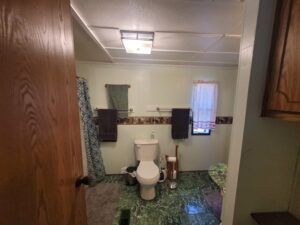 Interesting Facts About Horses: Grace Speed & Wild Instincts