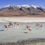 Unusual Facts About Bolivia You’ve Never Heard Before