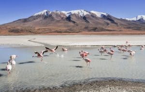 Unusual Facts About Bolivia You’ve Never Heard Before