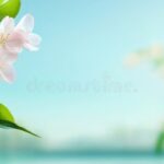 Fun Facts About Springtime: Flowers Sunshine & Seasonal Joy