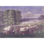 Cool Facts About Nebraska: Plains Pioneers & Unexpected Gems