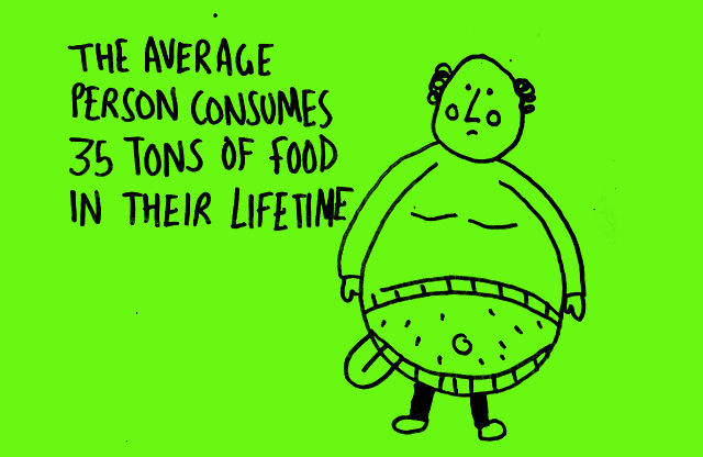 Cool Facts About Chickens: Feathered Facts You Won’t Believe