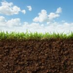Soil Facts About Iowa & Illinois: Surprising Soil Similarities