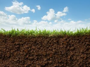 Soil Facts About Iowa & Illinois: Surprising Soil Similarities