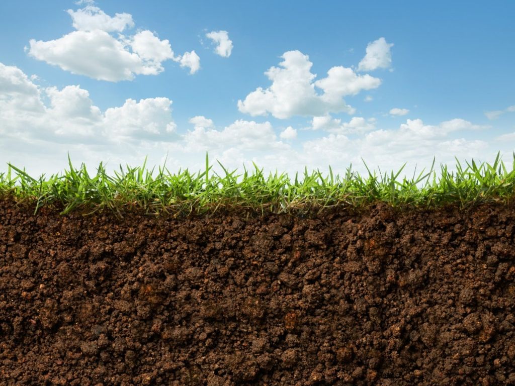 Soil Facts About Iowa & Illinois: Surprising Soil Similarities