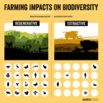 Interesting Facts About Grasslands: Life Landscapes & Hidden Wonders