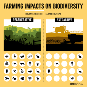 Interesting Facts About Grasslands: Life Landscapes & Hidden Wonders