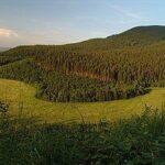 Amazing Facts About Canada: Maple Mountains & Marvels