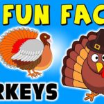 Interesting Facts About Turkeys: Odd Birds with Big Personalities