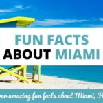 Fun Facts About Miami: Beaches Culture & Colorful Energy