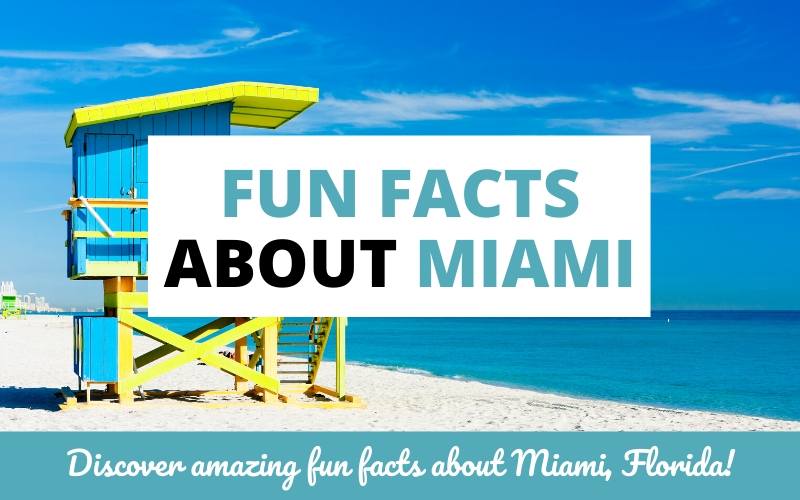 Fun Facts About Miami: Beaches Culture & Colorful Energy