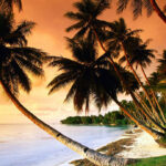 2 Interesting Facts About FSM (Micronesia) You Didn’t Expect