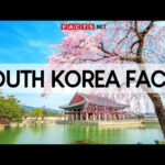 Unusual Facts About South Korea: K-Culture History & Hidden Wonders