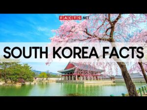 Unusual Facts About South Korea: K-Culture History & Hidden Wonders