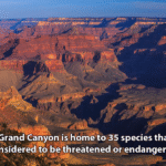 Interesting Facts About the Grand Canyon: Nature’s Monument