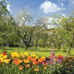 Unusual Facts About Spring That Will Brighten Your Day