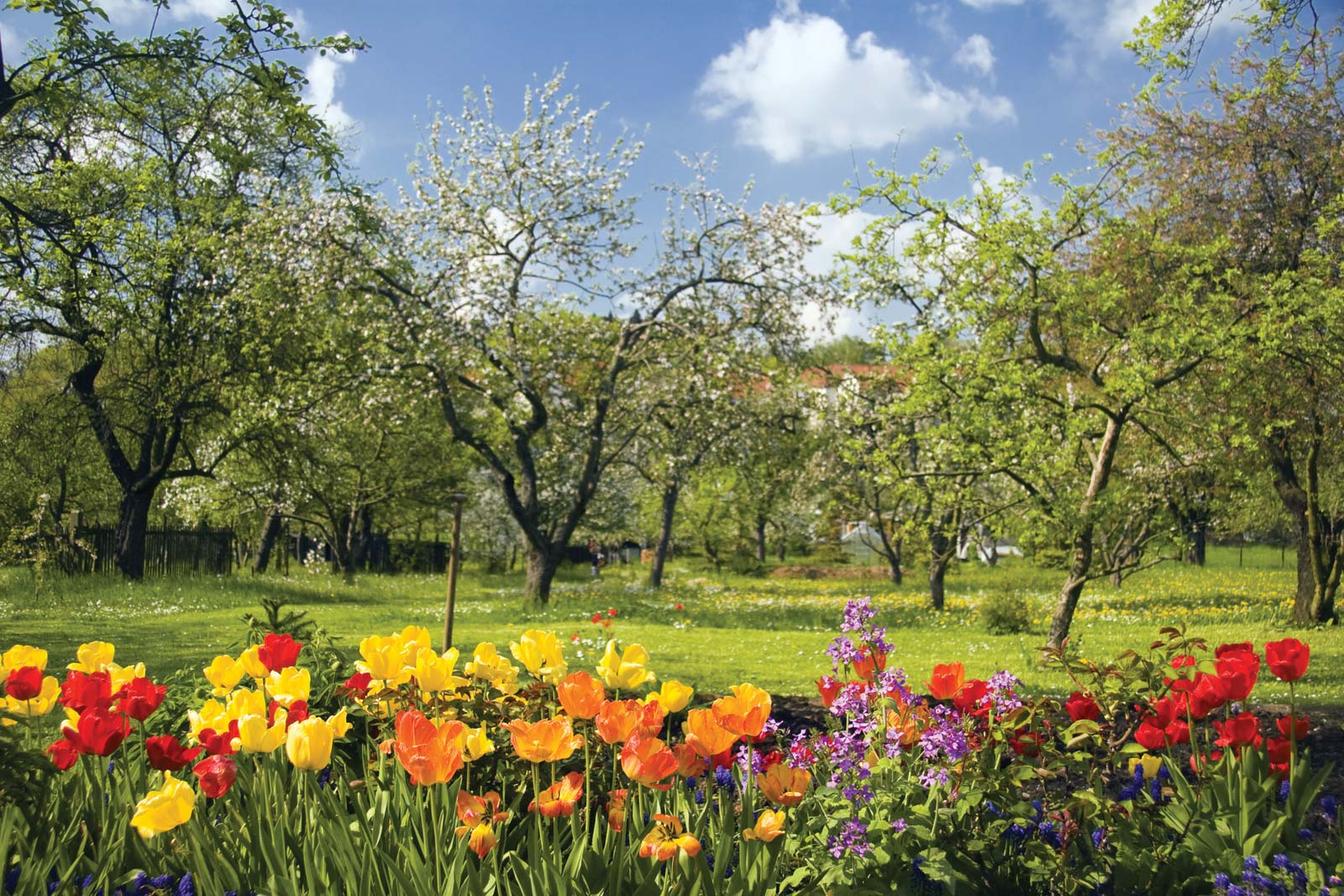 Unusual Facts About Spring That Will Brighten Your Day