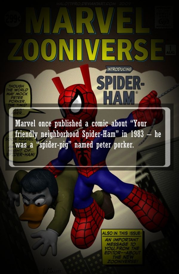 Weird Facts About Brazil: Strange Stories from the Tropics