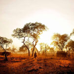 Interesting Facts About Sudan: History Culture & Hidden Beauty