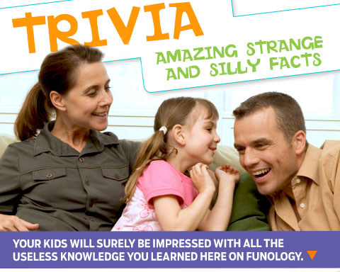 Fun Facts About Alcohol: Strange Science & Spirited Trivia